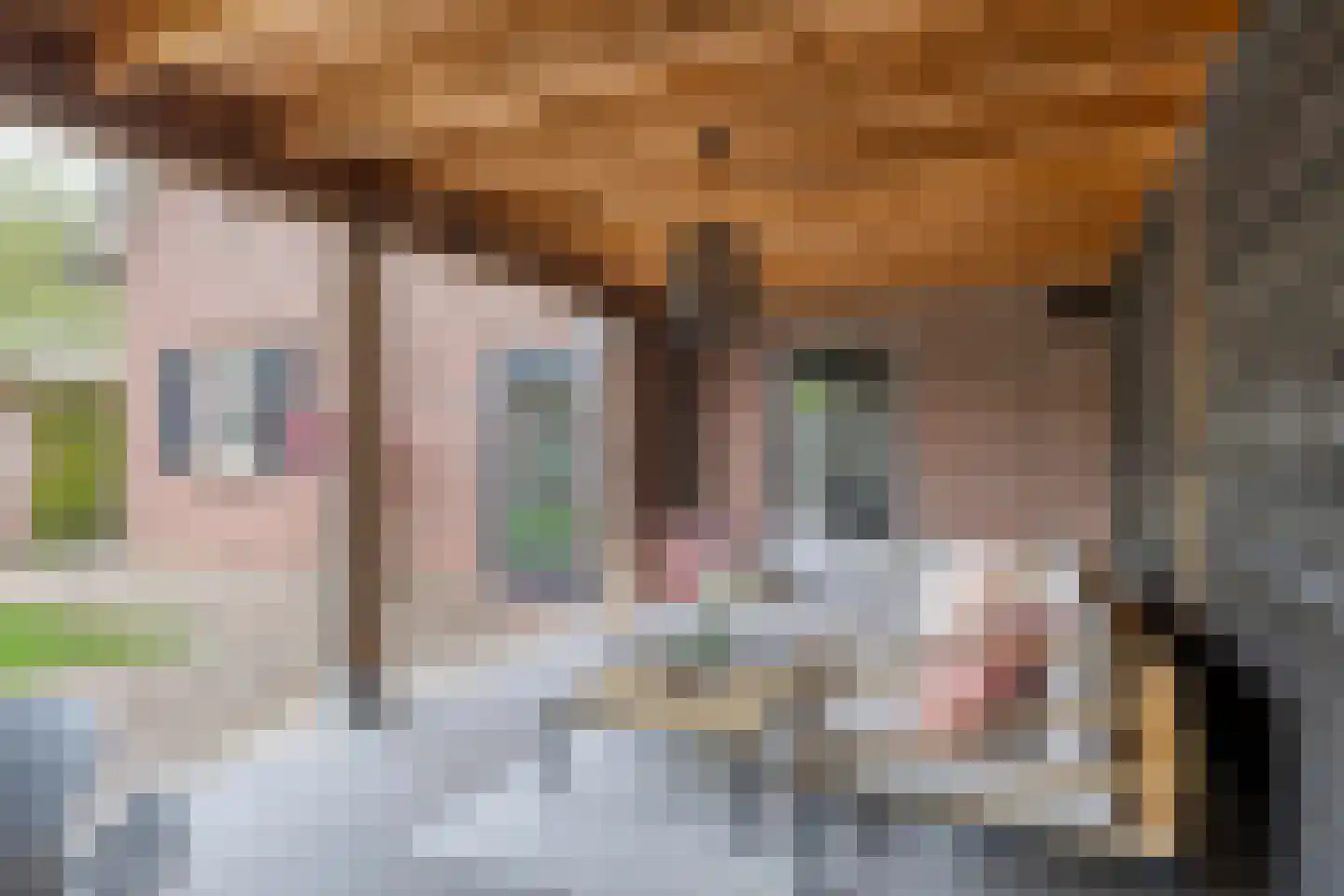 Koebaksestraat 8 a Vianen NB thumbnail 59