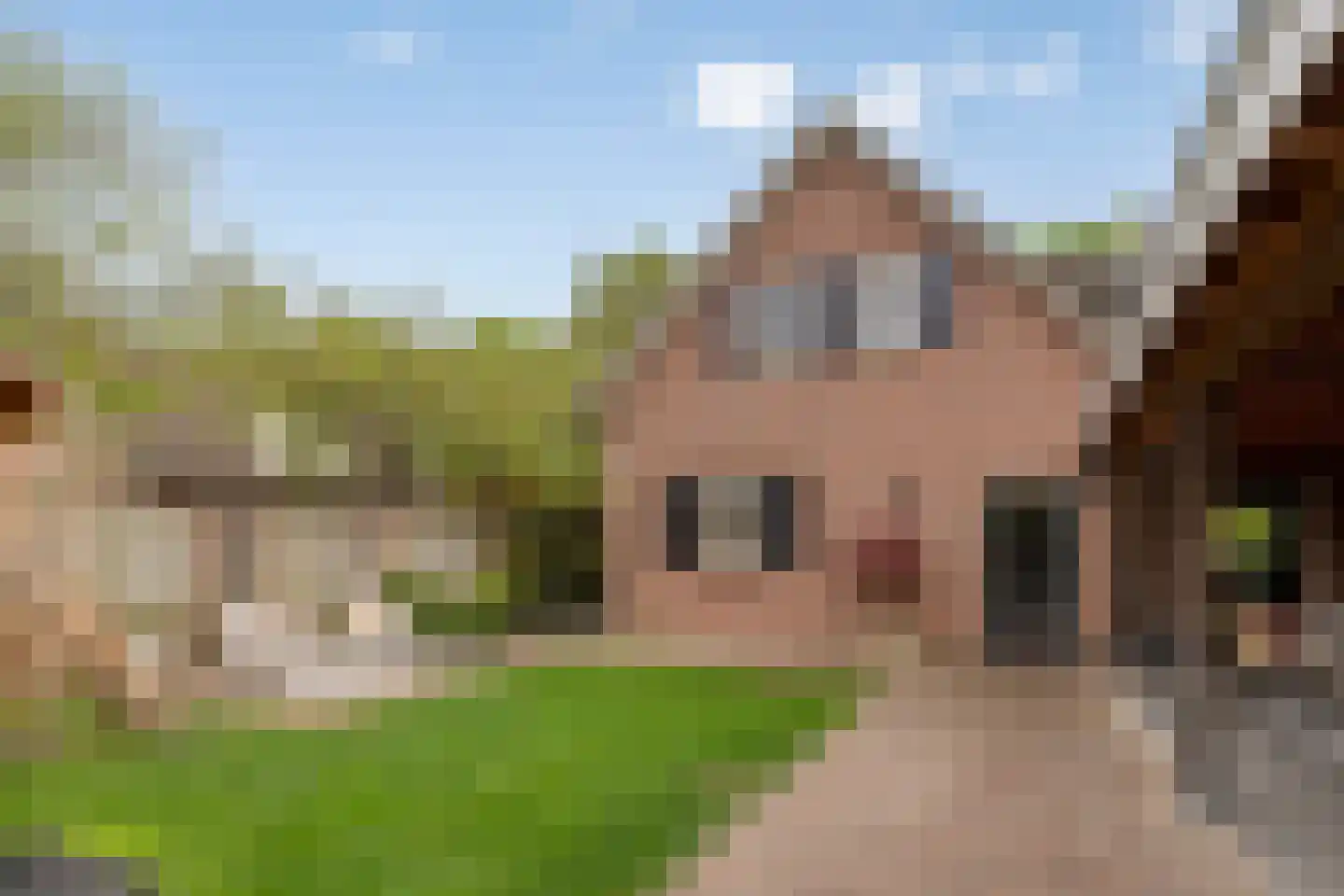 Koebaksestraat 8 a Vianen NB thumbnail 62