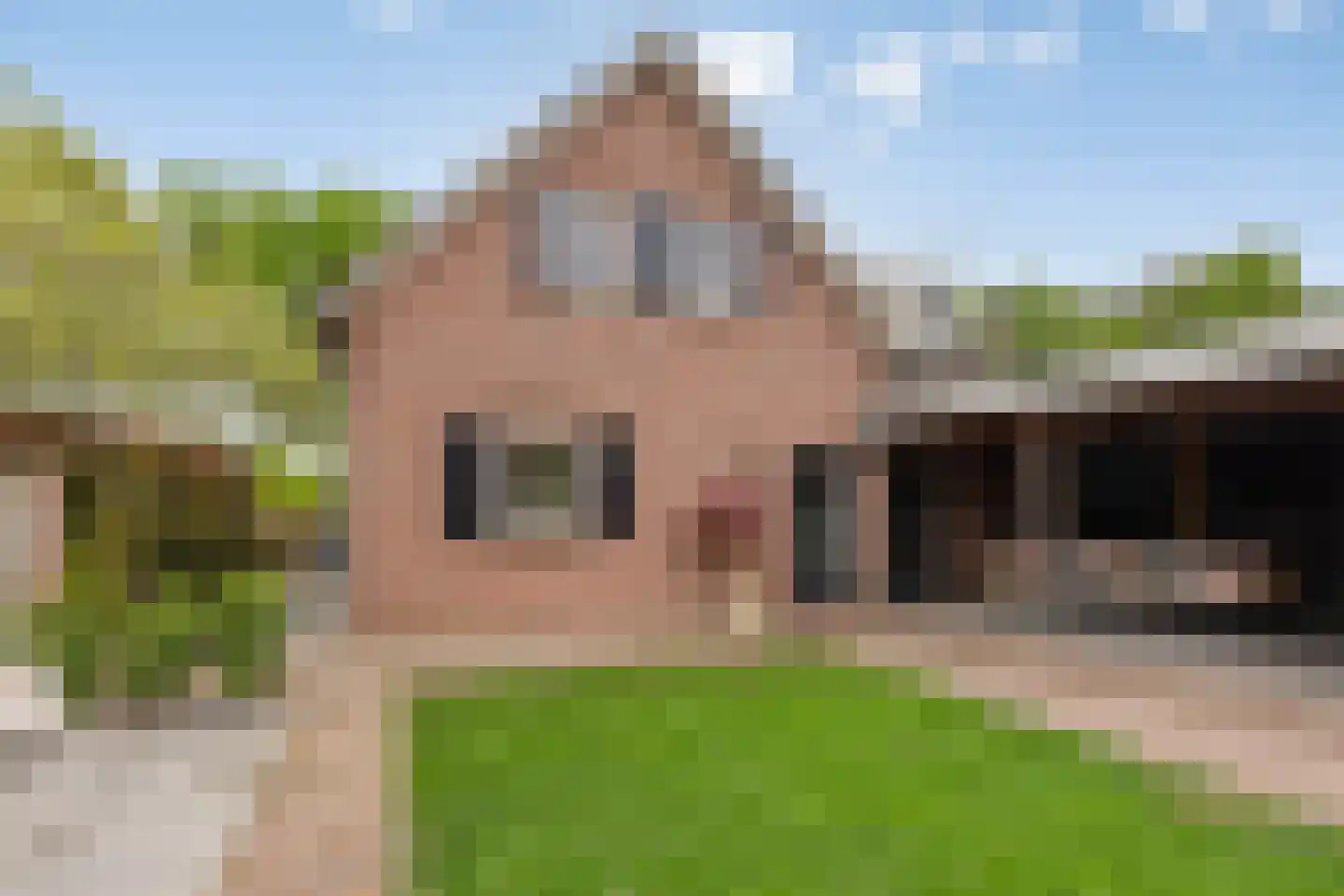 Koebaksestraat 8 a Vianen NB thumbnail 64