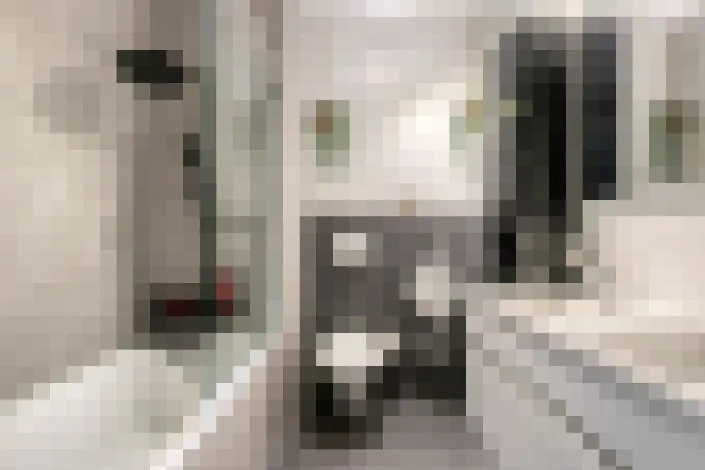 Koebergstraat 59 Tilburg thumbnail 21