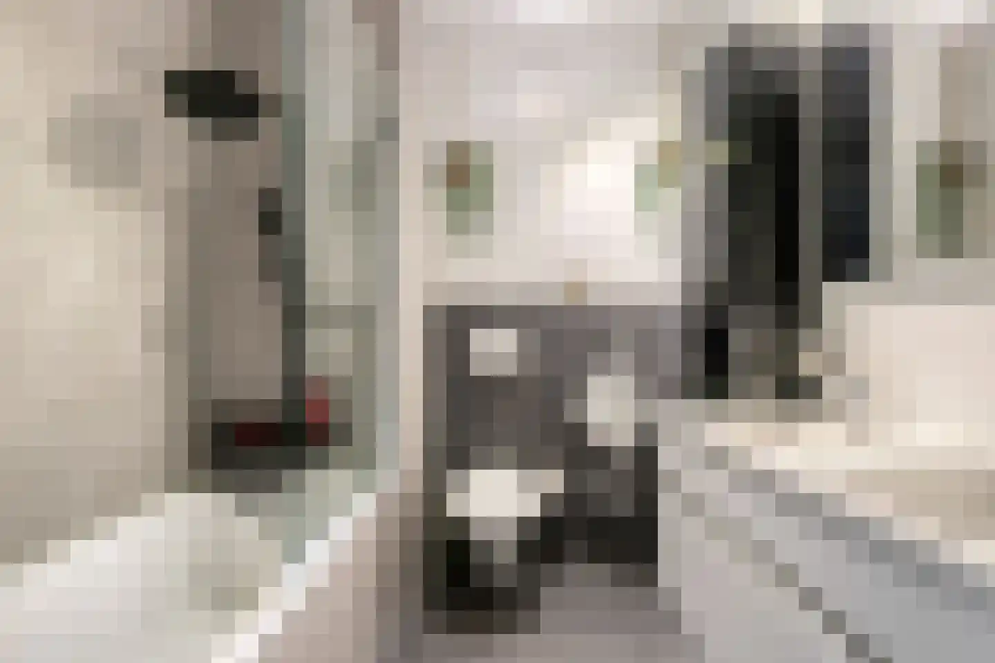 Koebergstraat 59 Tilburg thumbnail 21