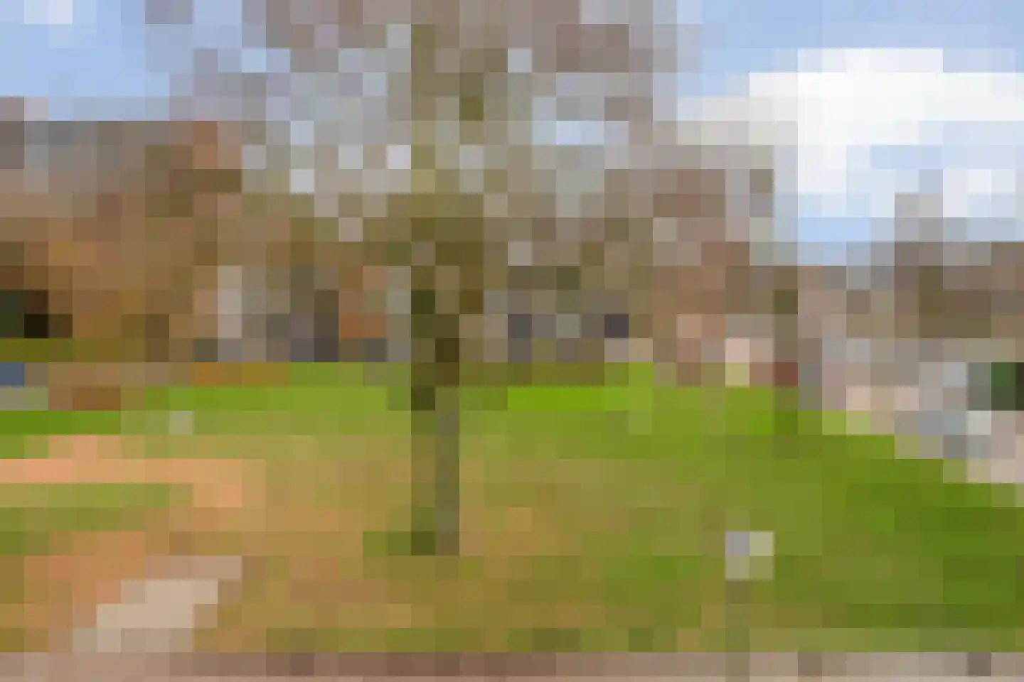 Koebergstraat 59 Tilburg thumbnail 30