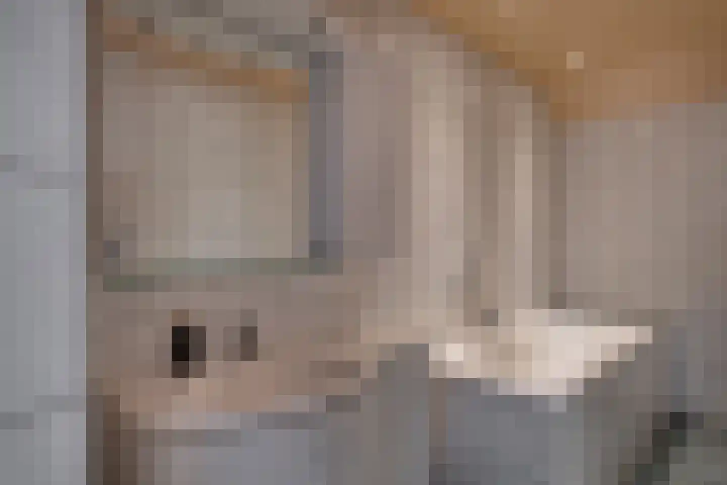 Koebushorst 6 Laren thumbnail 11