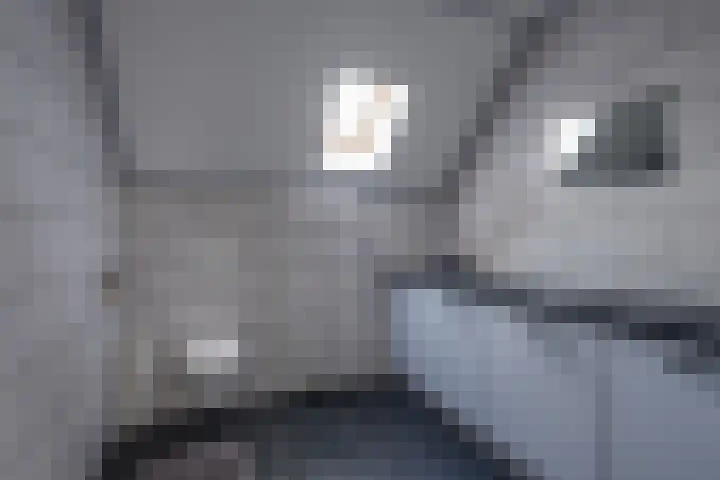 Koebushorst 6 Laren thumbnail 18