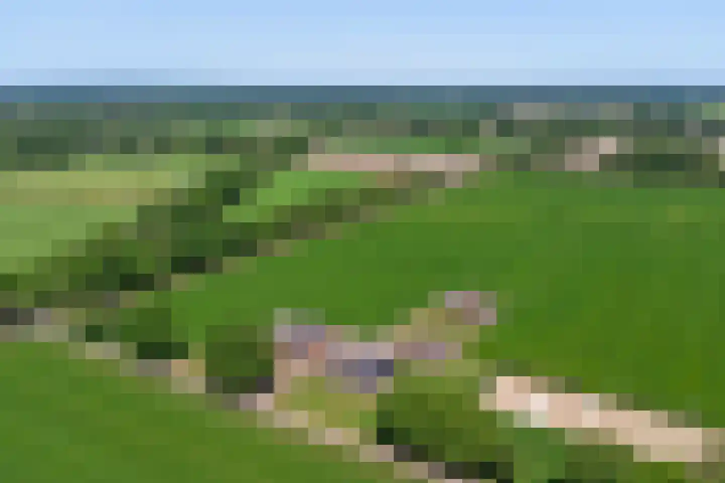 Koebushorst 6 Laren thumbnail 21