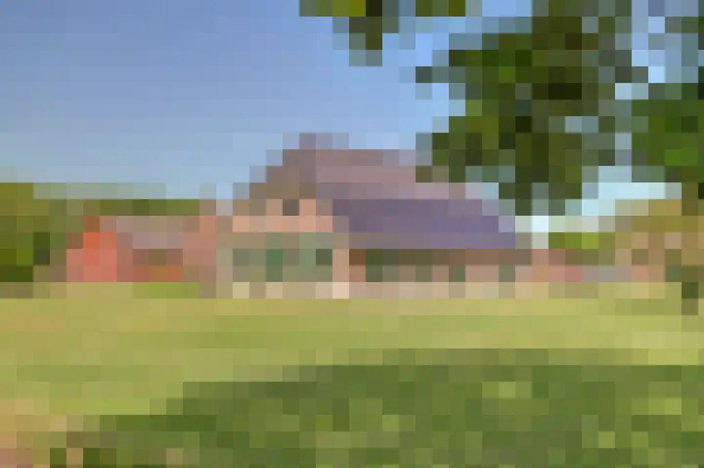 Koebushorst 6 Laren thumbnail 22