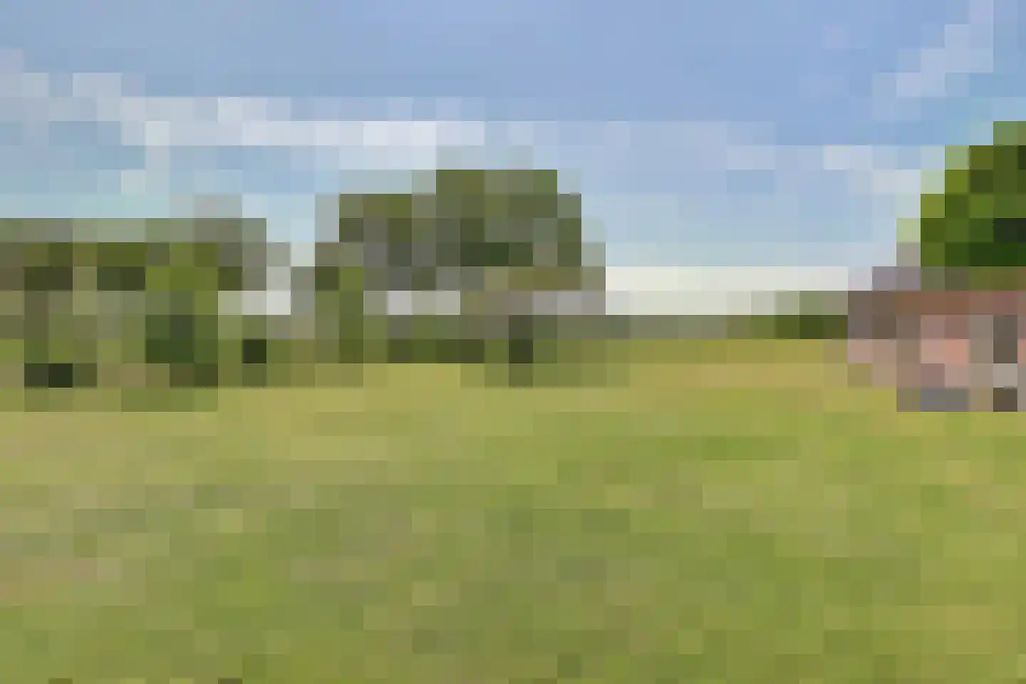 Koebushorst 6 Laren thumbnail 25