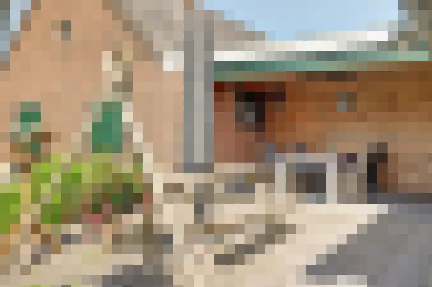 Koebushorst 6 Laren thumbnail 26