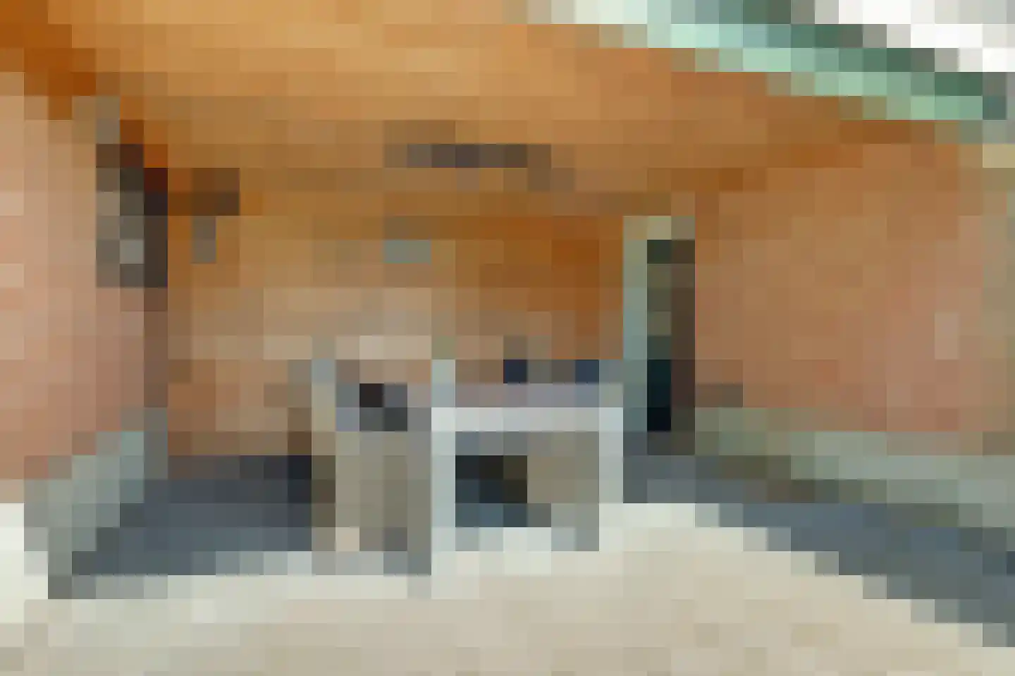 Koebushorst 6 Laren thumbnail 27