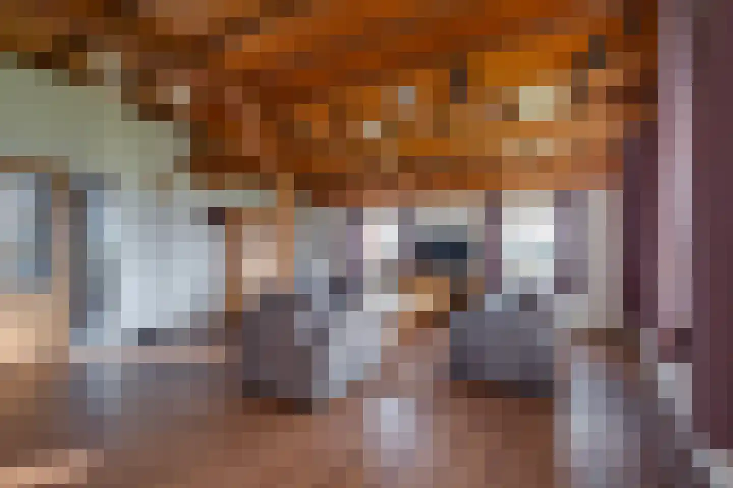 Koebushorst 6 Laren thumbnail 4