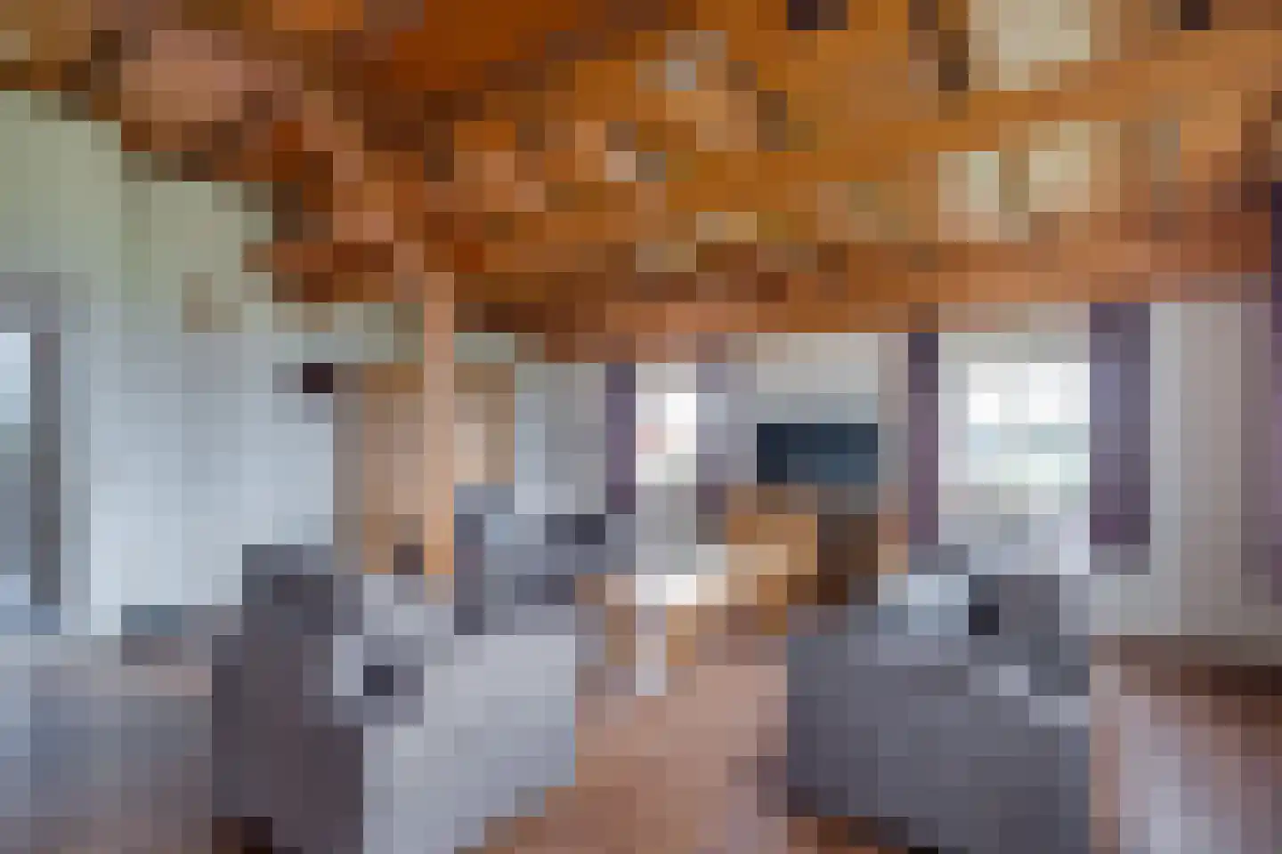 Koebushorst 6 Laren thumbnail 5