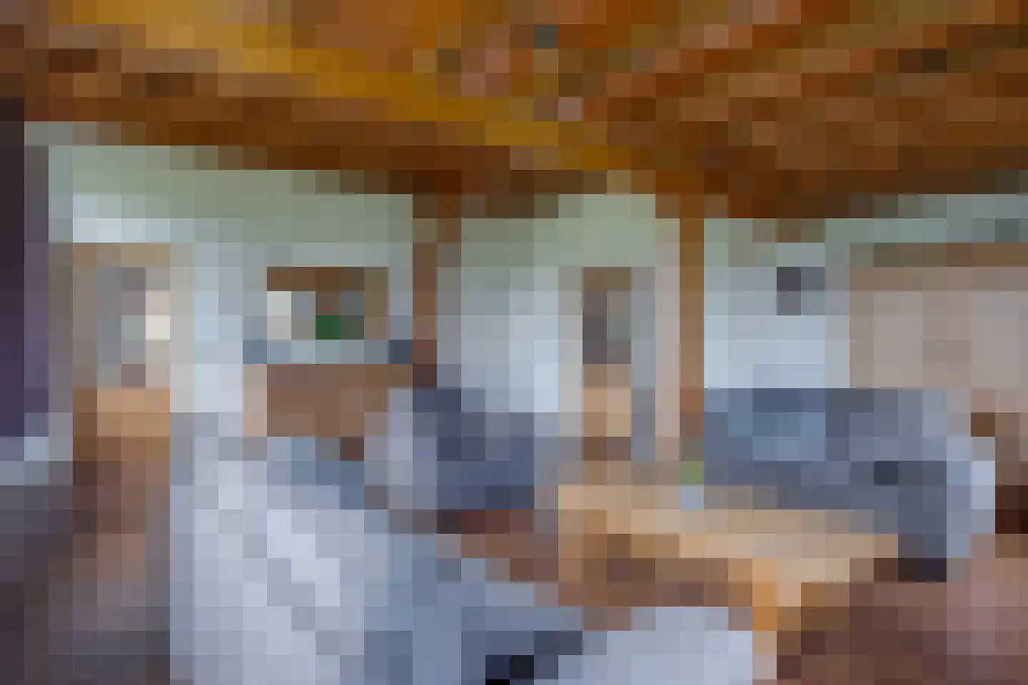 Koebushorst 6 Laren thumbnail 6