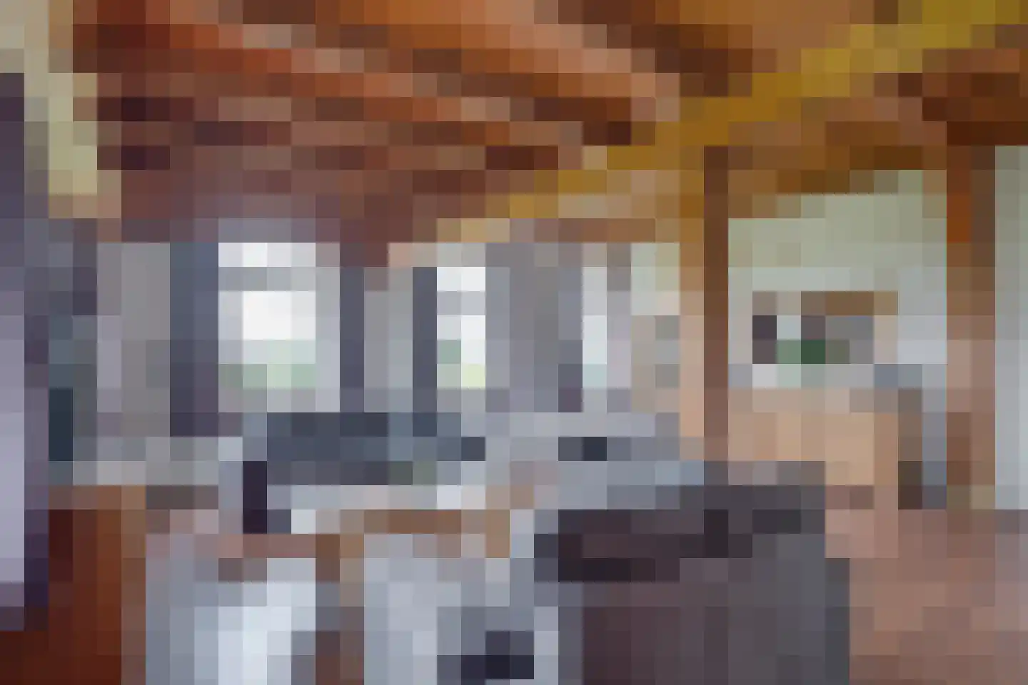 Koebushorst 6 Laren thumbnail 7