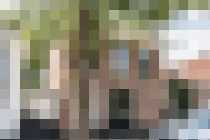 Koediefslaan 117 Heemstede thumbnail 17