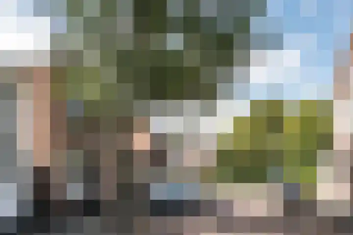 Koediefslaan 117 Heemstede thumbnail 18