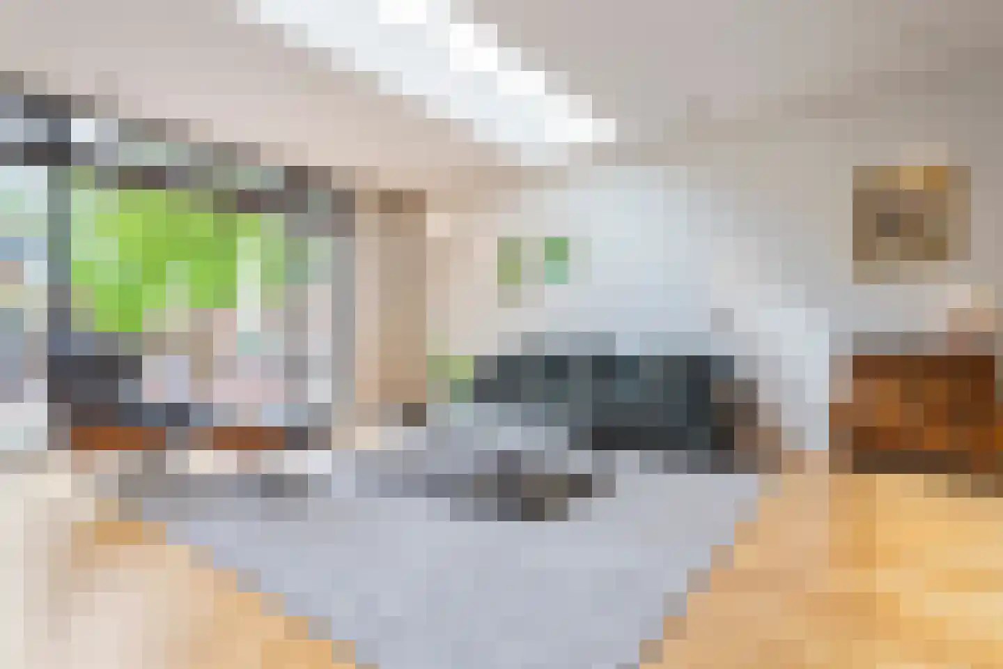Koediefslaan 39 Heemstede thumbnail 23
