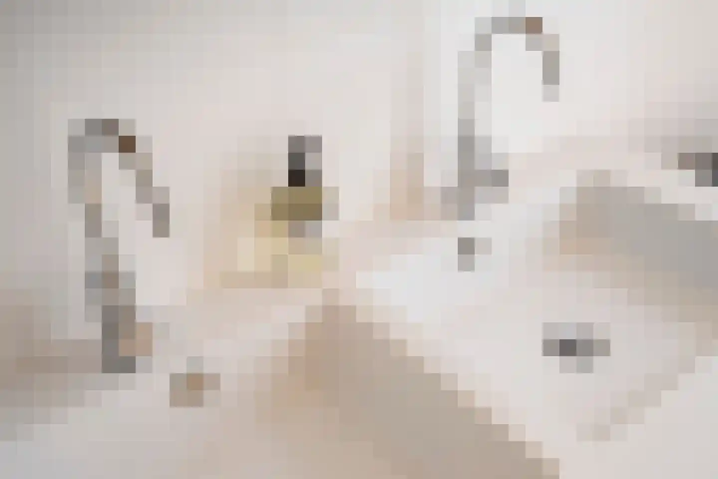 Koediefslaan 39 Heemstede thumbnail 39