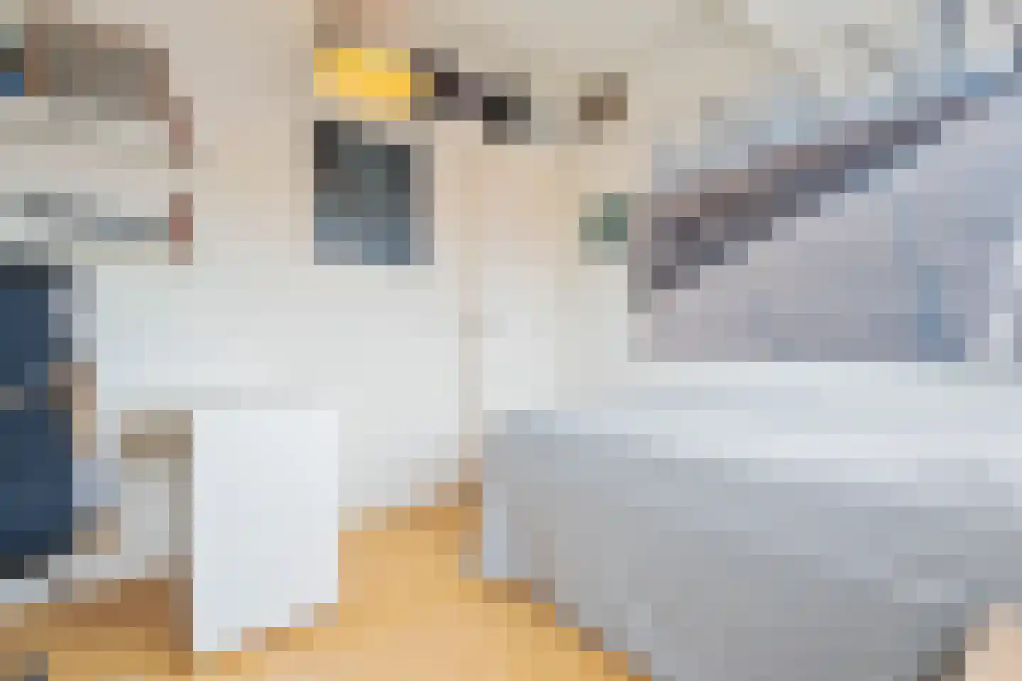 Koediefslaan 39 Heemstede thumbnail 42