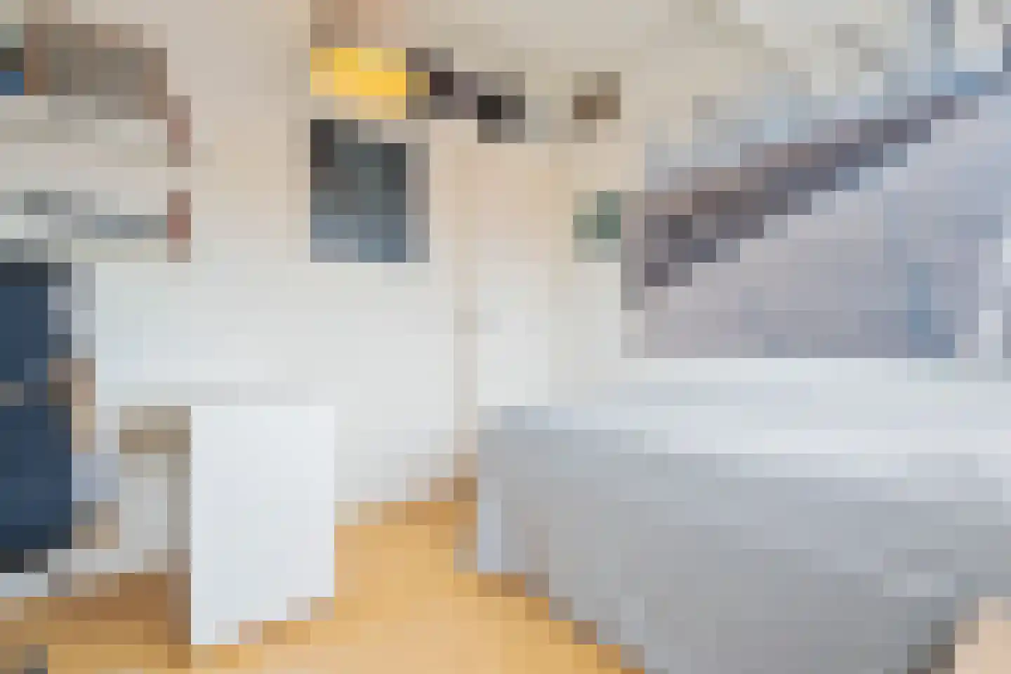 Koediefslaan 39 Heemstede thumbnail 43