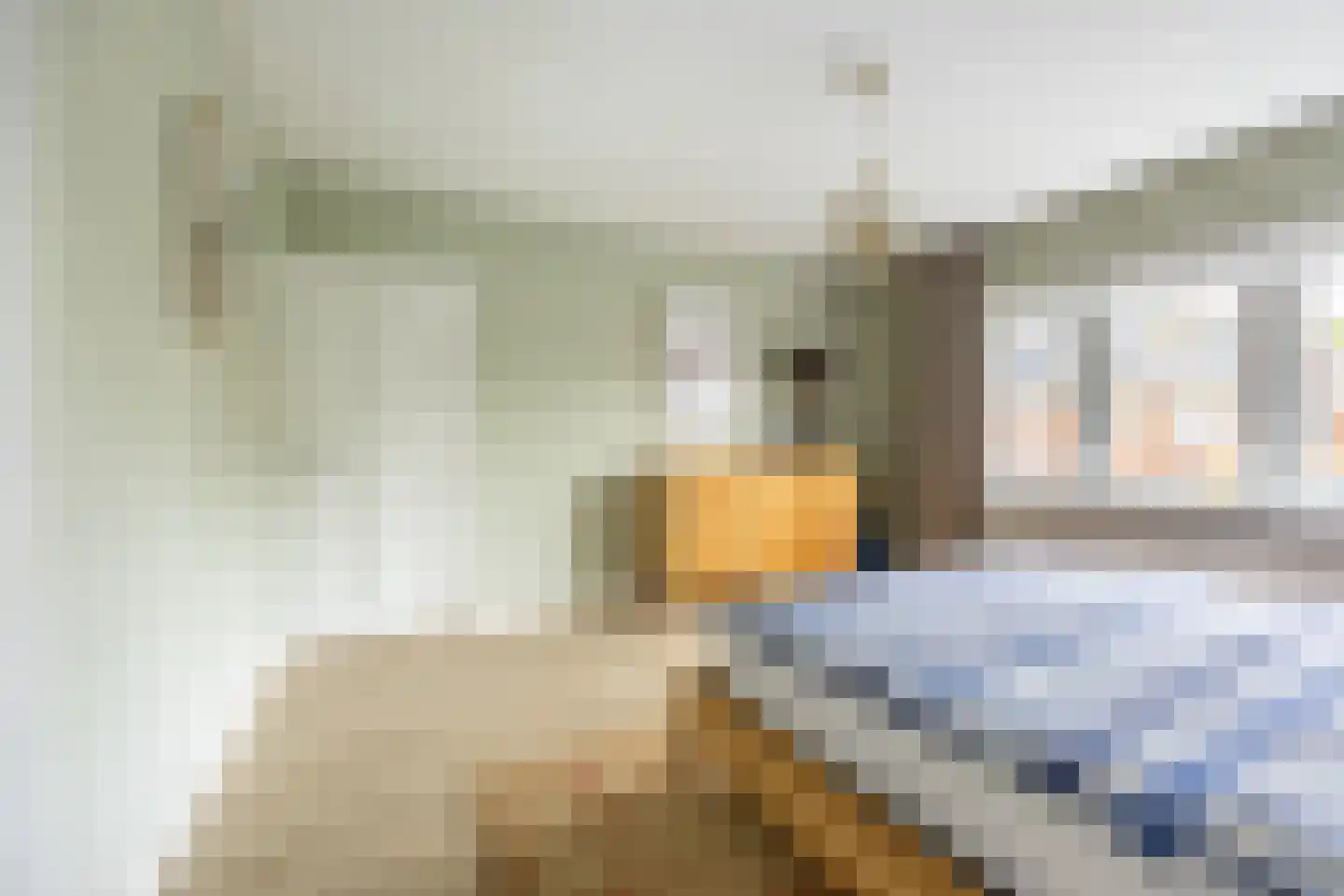 Koediefslaan 66 Heemstede thumbnail 17