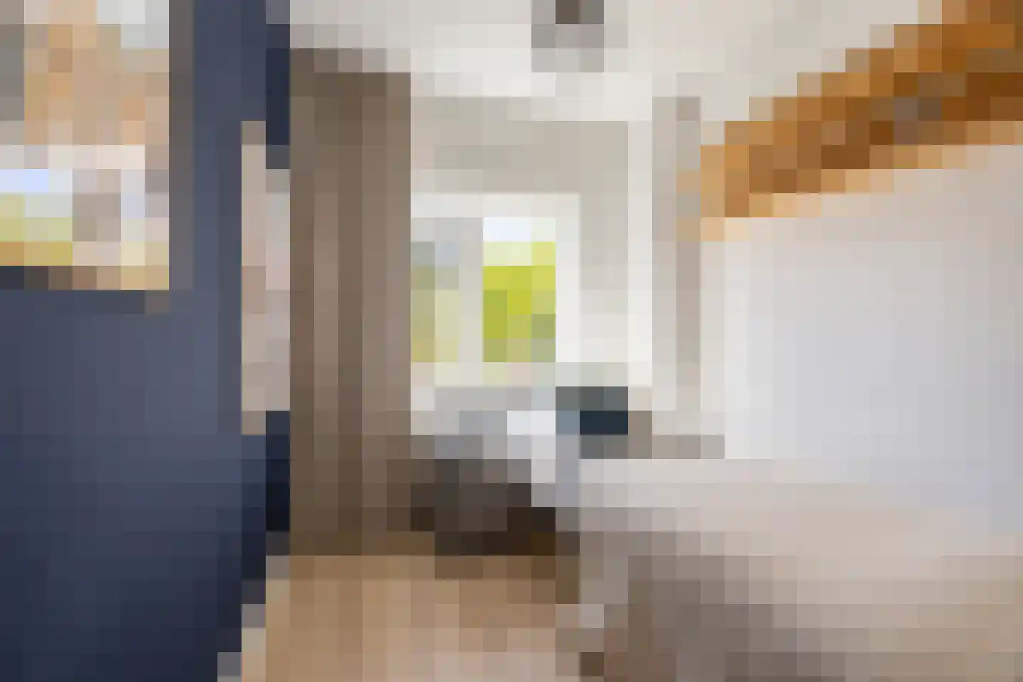 Koediefslaan 66 Heemstede thumbnail 18