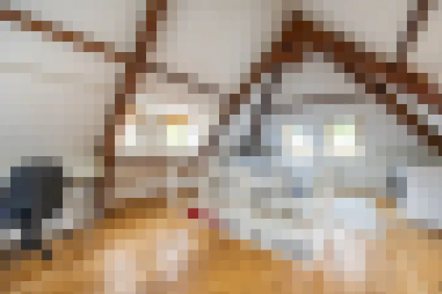 Koediefslaan 66 Heemstede thumbnail 22