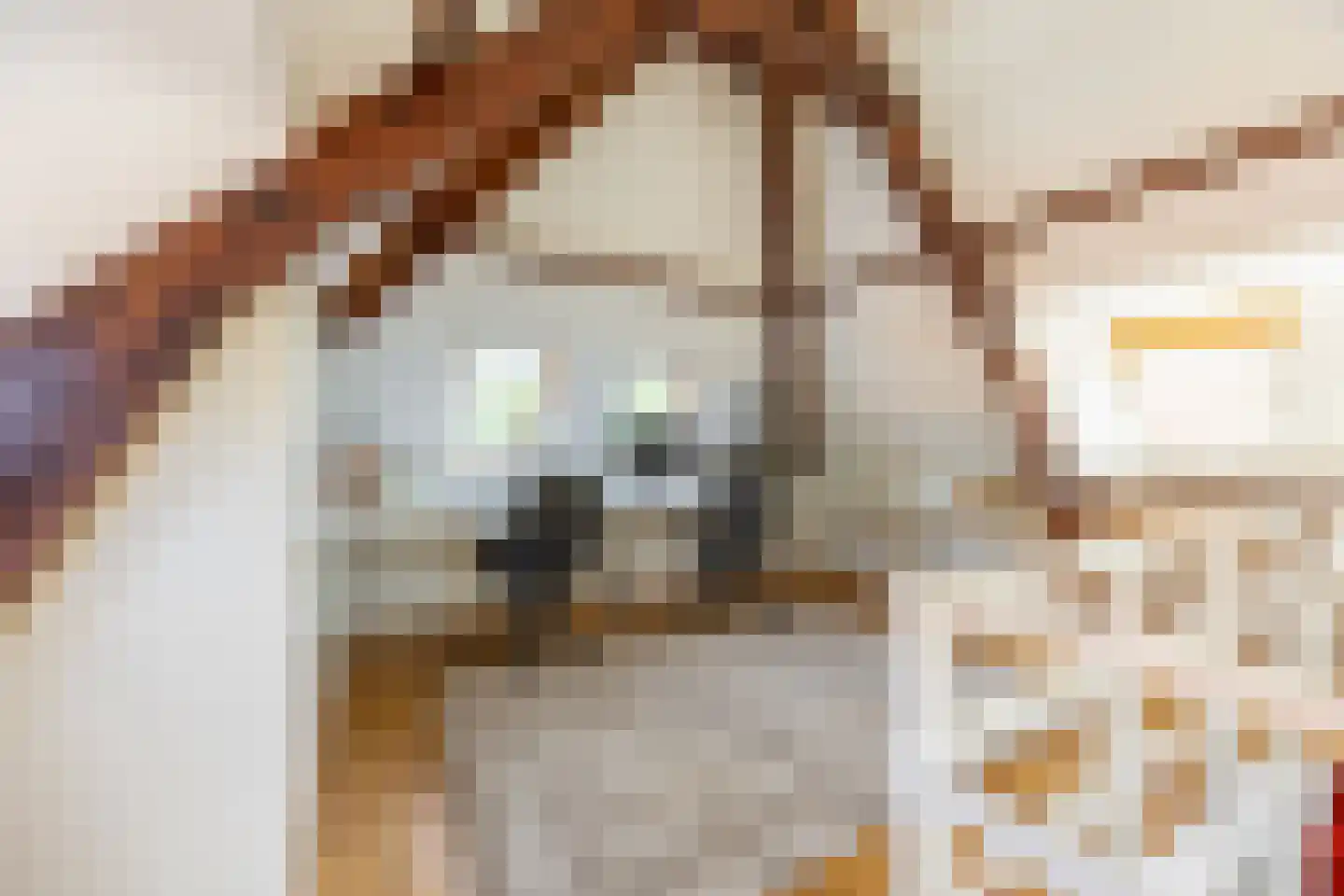 Koediefslaan 66 Heemstede thumbnail 23