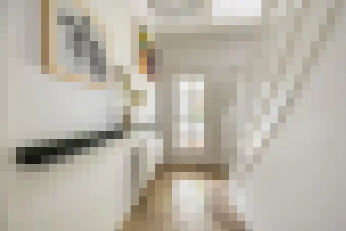 Koediefslaan 66 Heemstede thumbnail 4