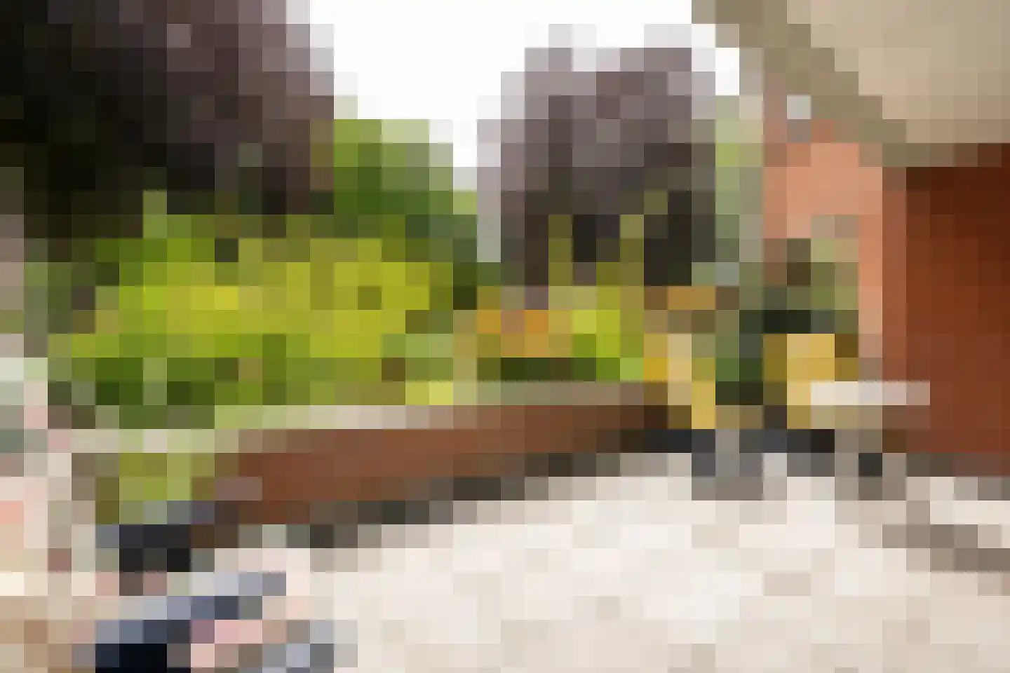 Koediefslaan 76 A 1 Heemstede thumbnail 20