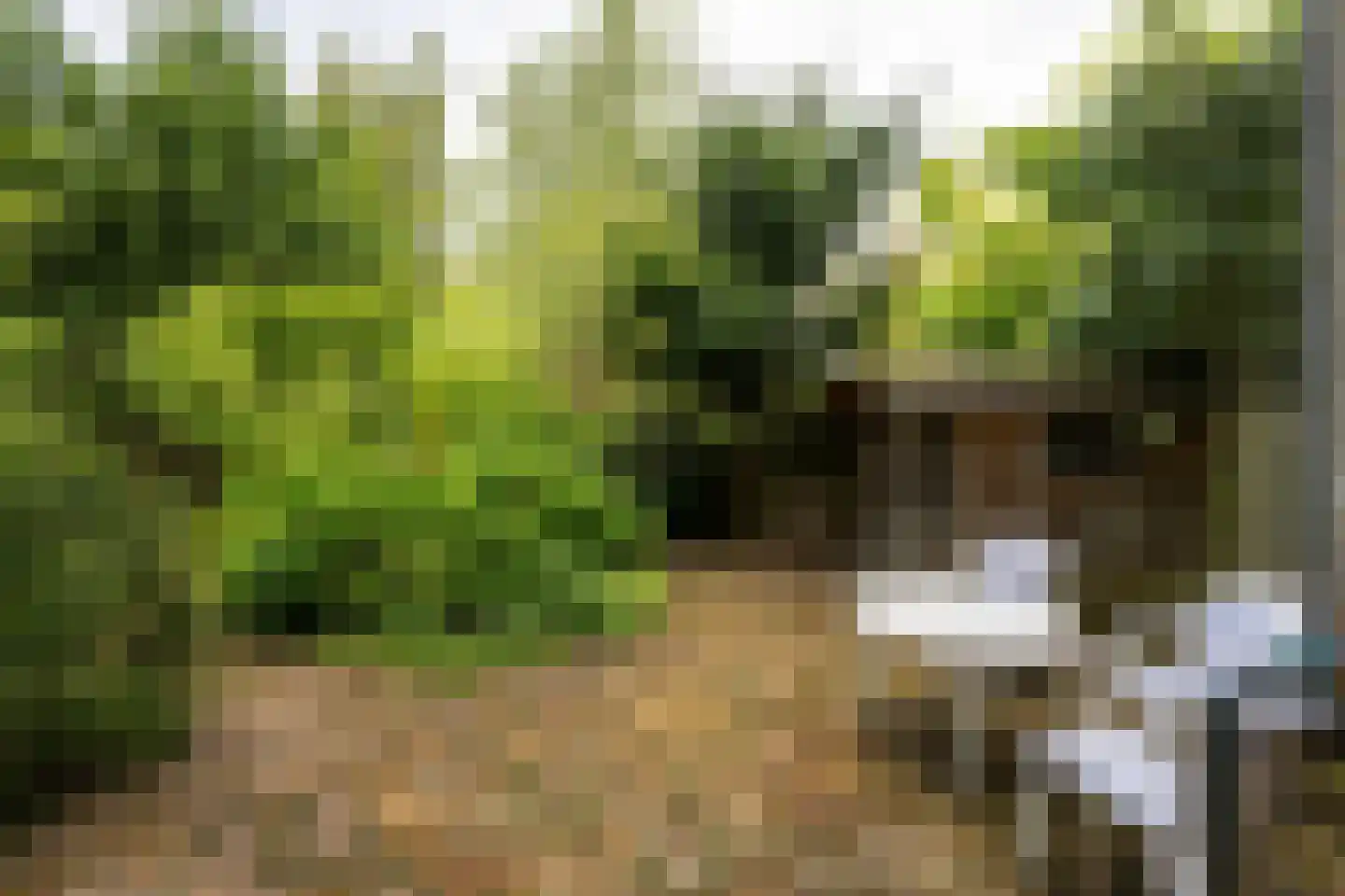 Koediefslaan 76 A 1 Heemstede thumbnail 21