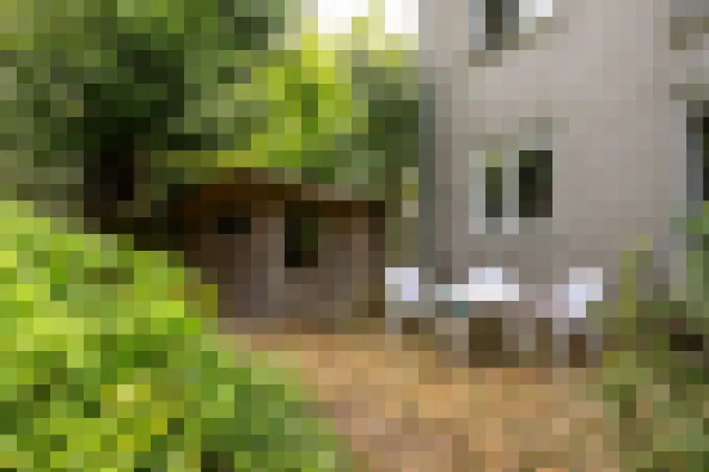 Koediefslaan 76 A 1 Heemstede thumbnail 24
