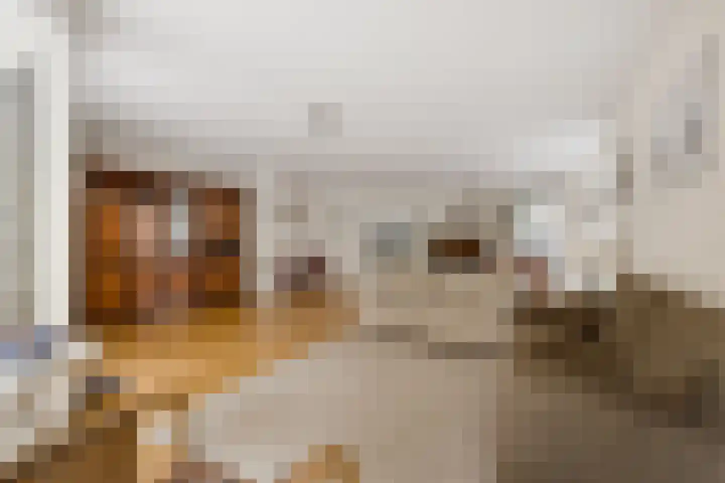 Koediefslaan 76 A 1 Heemstede thumbnail 5