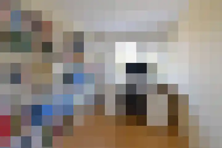Koedijk 13 Huizen thumbnail 10
