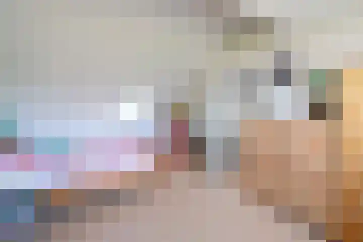 Koedijk 13 Huizen thumbnail 12