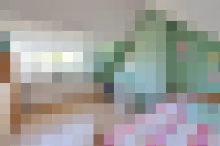Koedijk 13 Huizen thumbnail 13