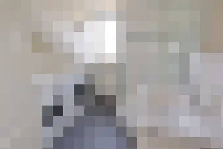Koedijk 13 Huizen thumbnail 14