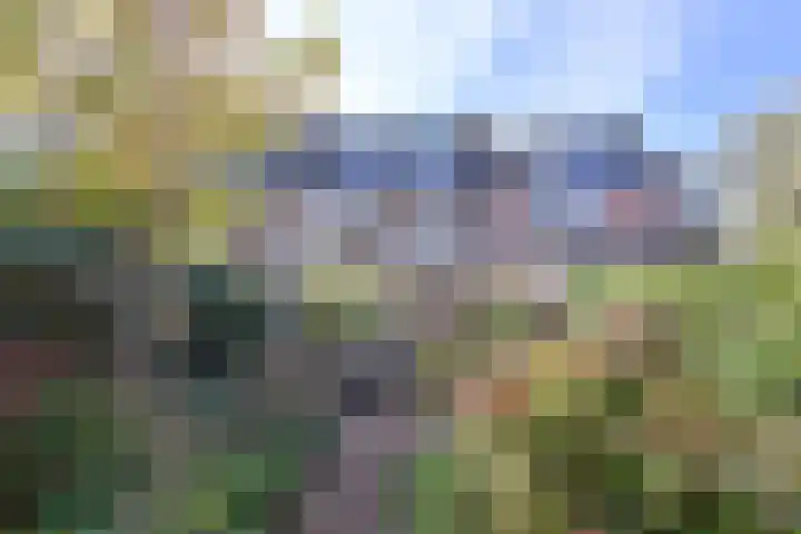 Koedijk 13 Huizen thumbnail 15