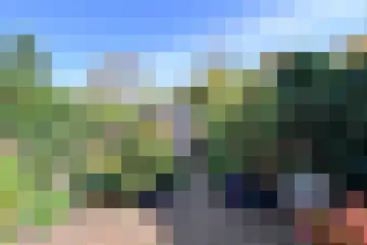 Koedijk 13 Huizen thumbnail 16