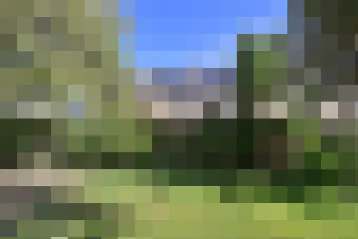 Koedijk 13 Huizen thumbnail 17
