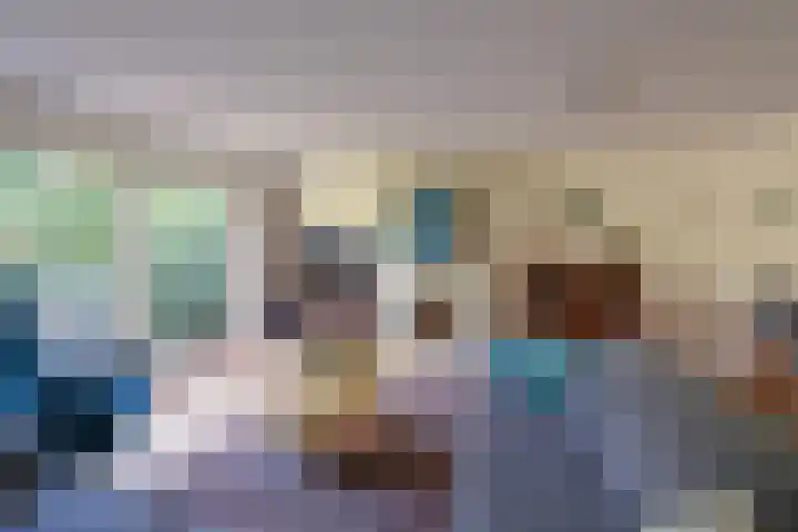Koedijk 13 Huizen thumbnail 4