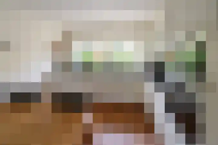 Koedijk 13 Huizen thumbnail 6