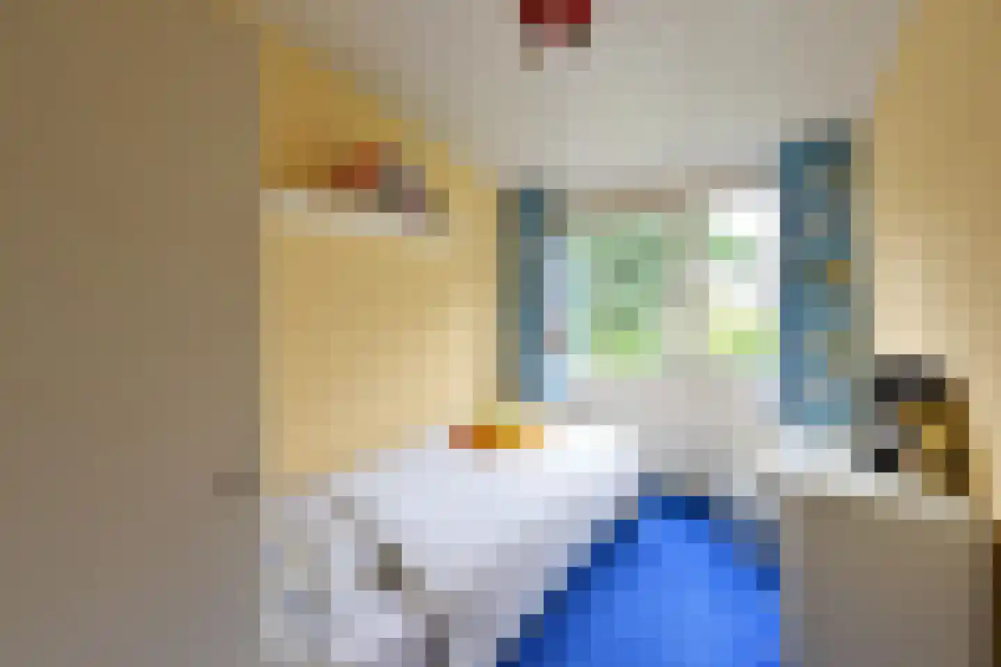 Koedijk 14 Huizen thumbnail 13