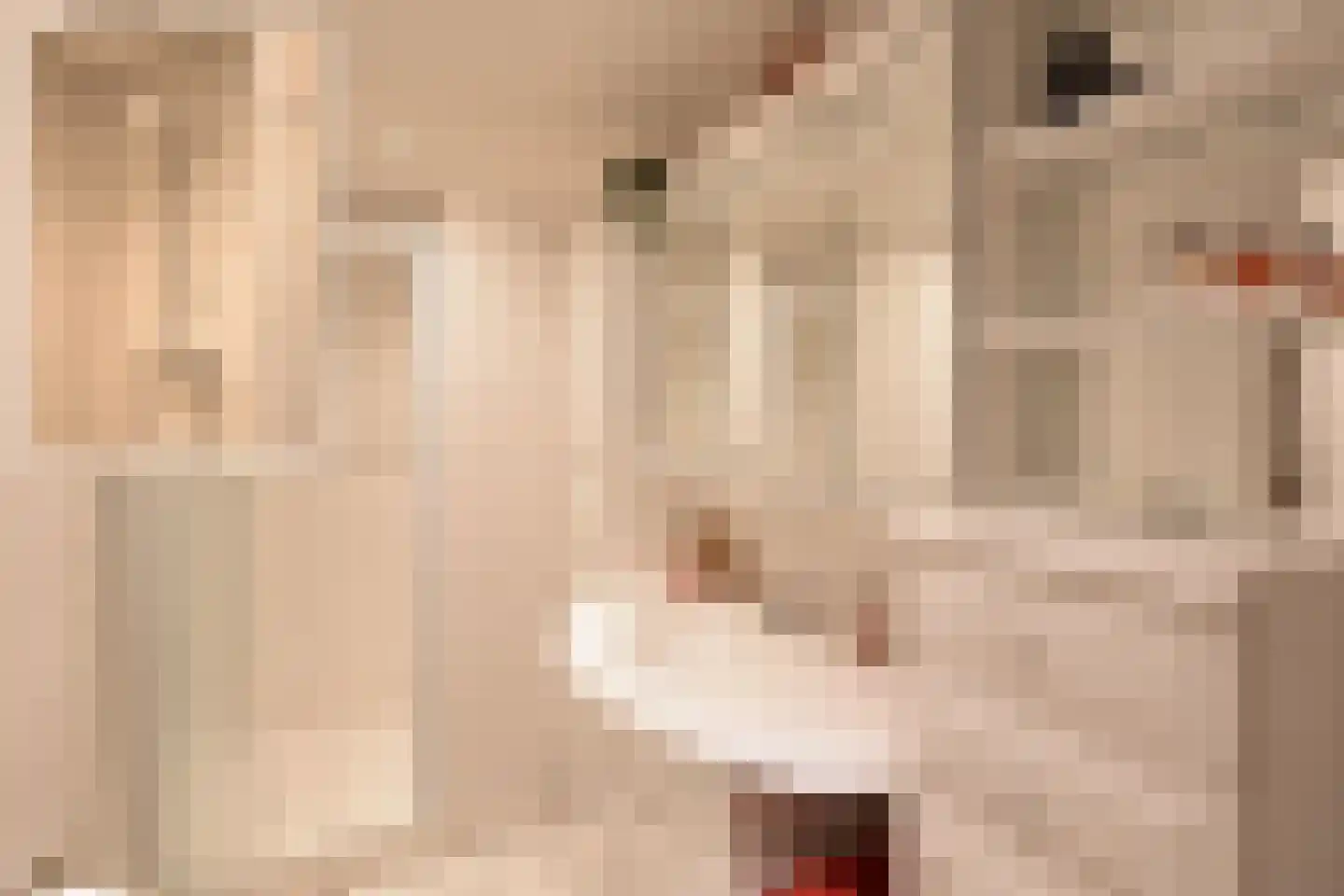 Koedijk 14 Huizen thumbnail 14