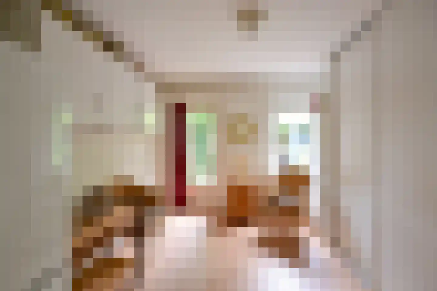 Koedijk 14 Huizen thumbnail 15