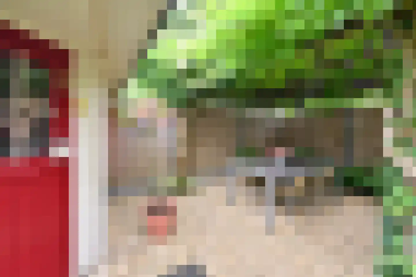 Koedijk 14 Huizen thumbnail 16