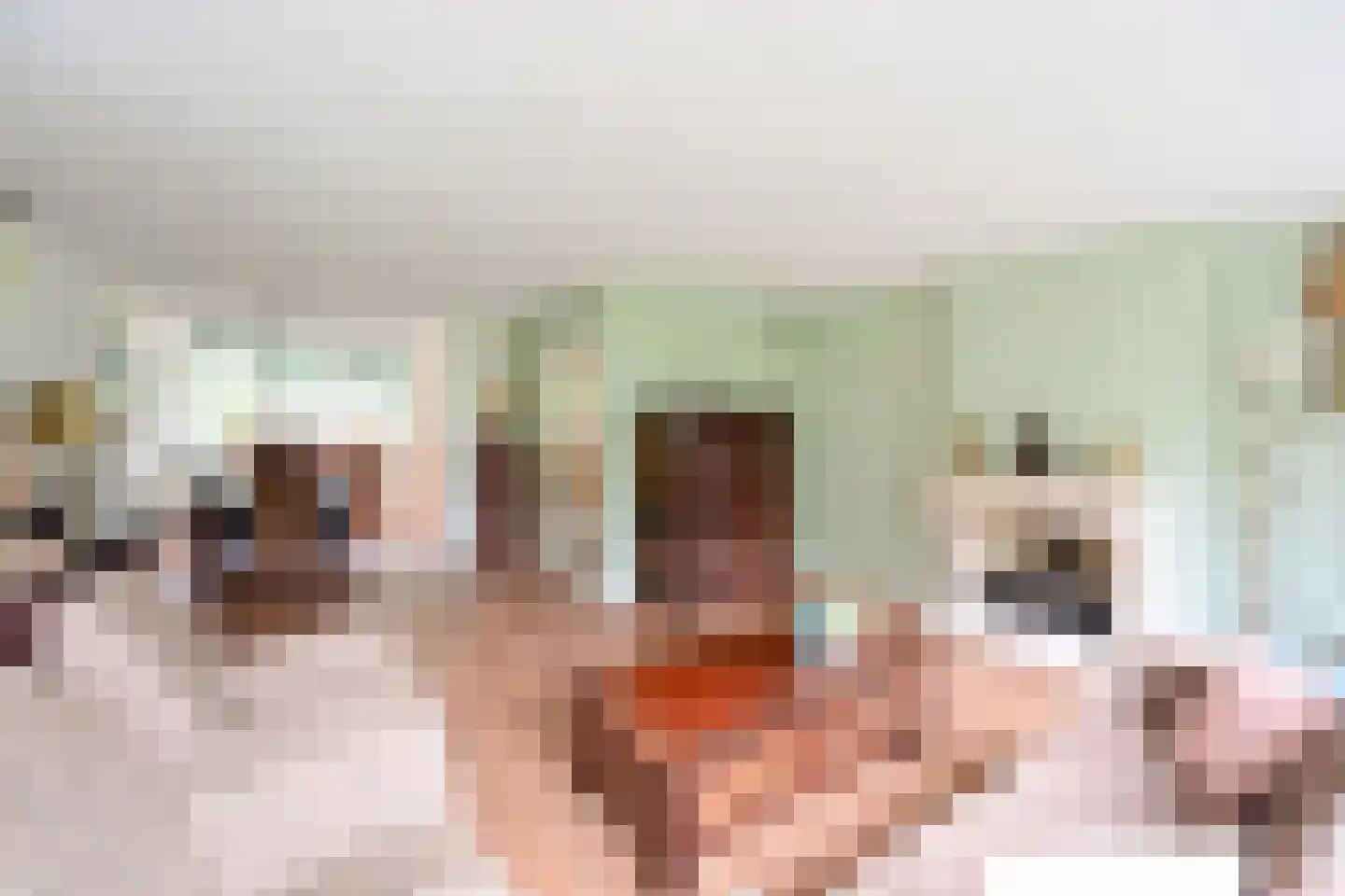 Koedijk 14 Huizen thumbnail 6