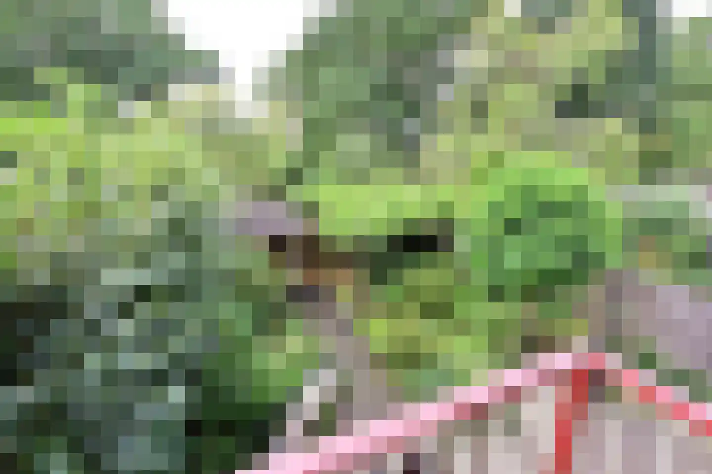 Koedijk 14 Huizen thumbnail 7