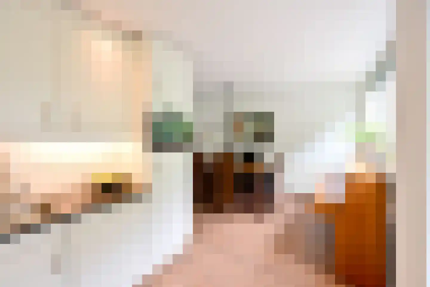 Koedijk 14 Huizen thumbnail 9