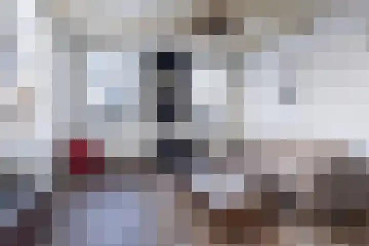 Koedijk 15 Oudebildtzijl thumbnail 10