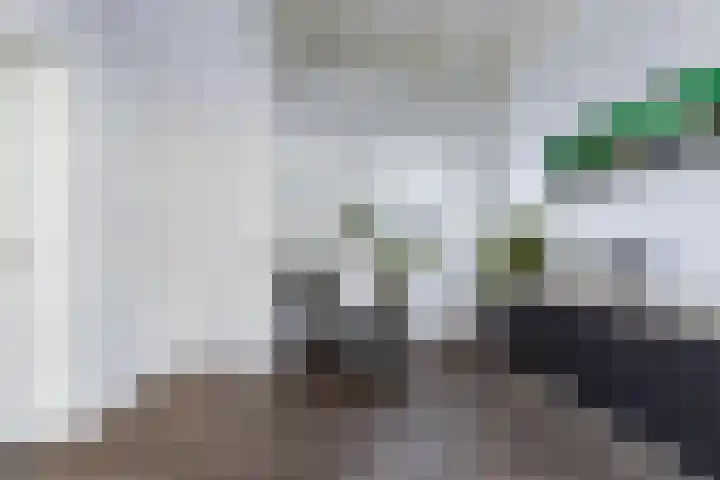 Koedijk 15 Oudebildtzijl thumbnail 15